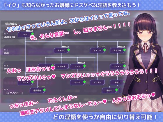 洗脳アプリで清楚なお嬢様をドスケベ調教するシミュレーション サンプル画像