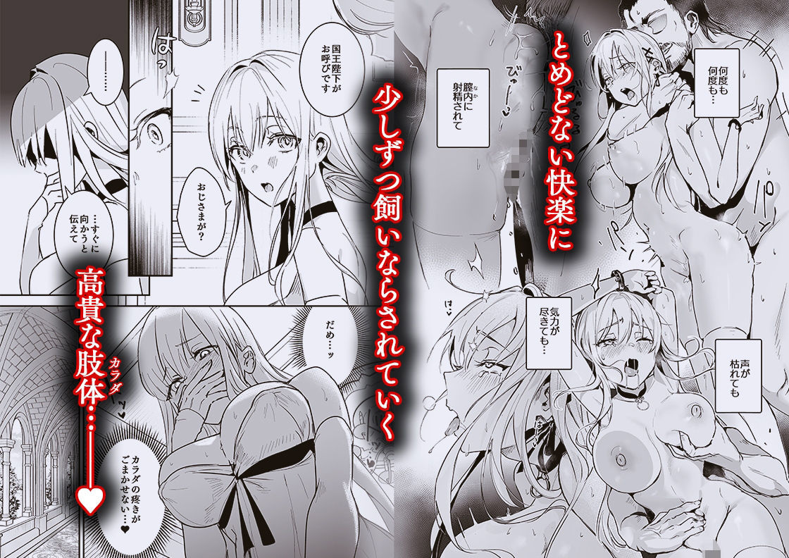 王女陥落2 サンプル画像