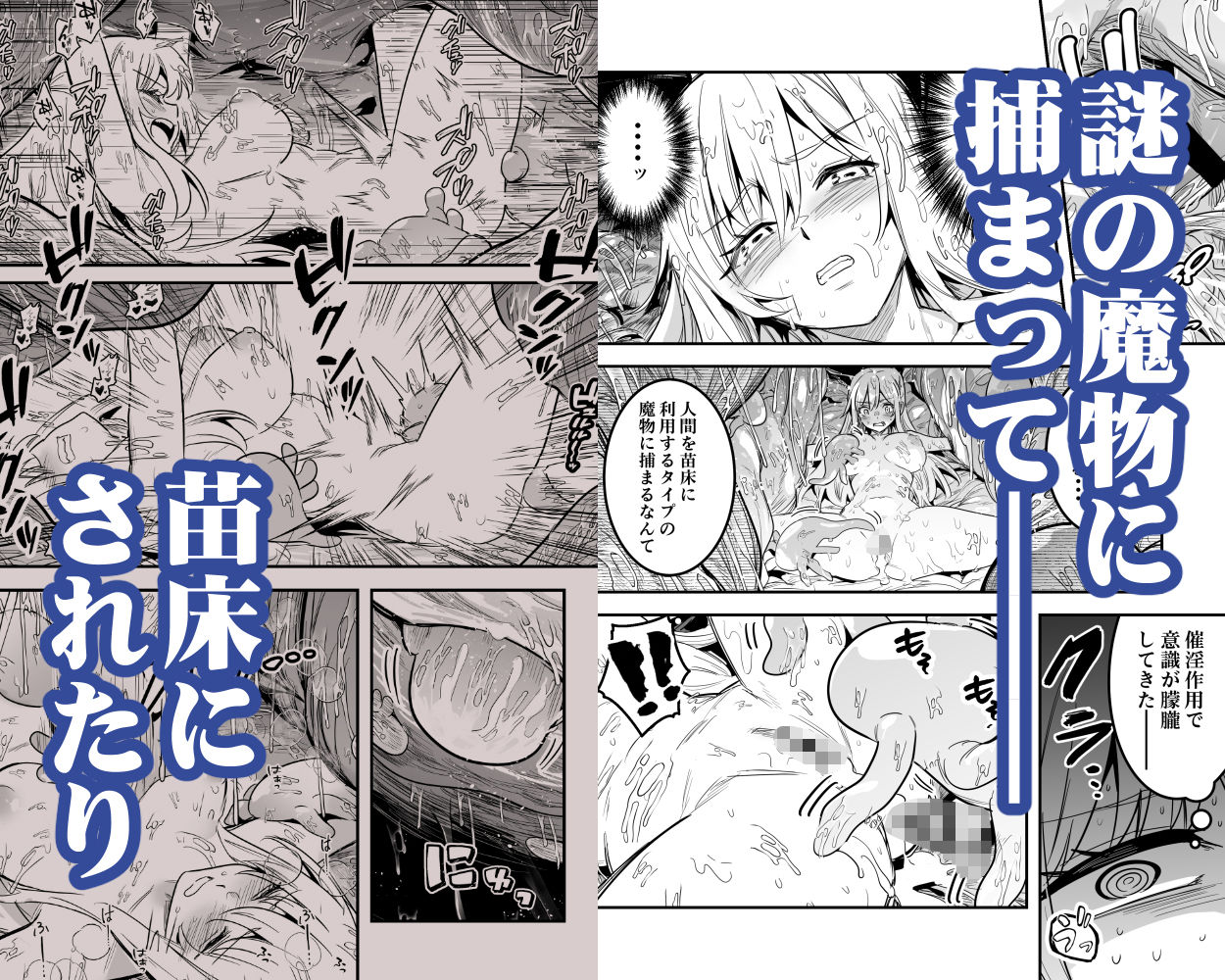 冒険者ちゃんとえっちな冒険5 サンプル画像