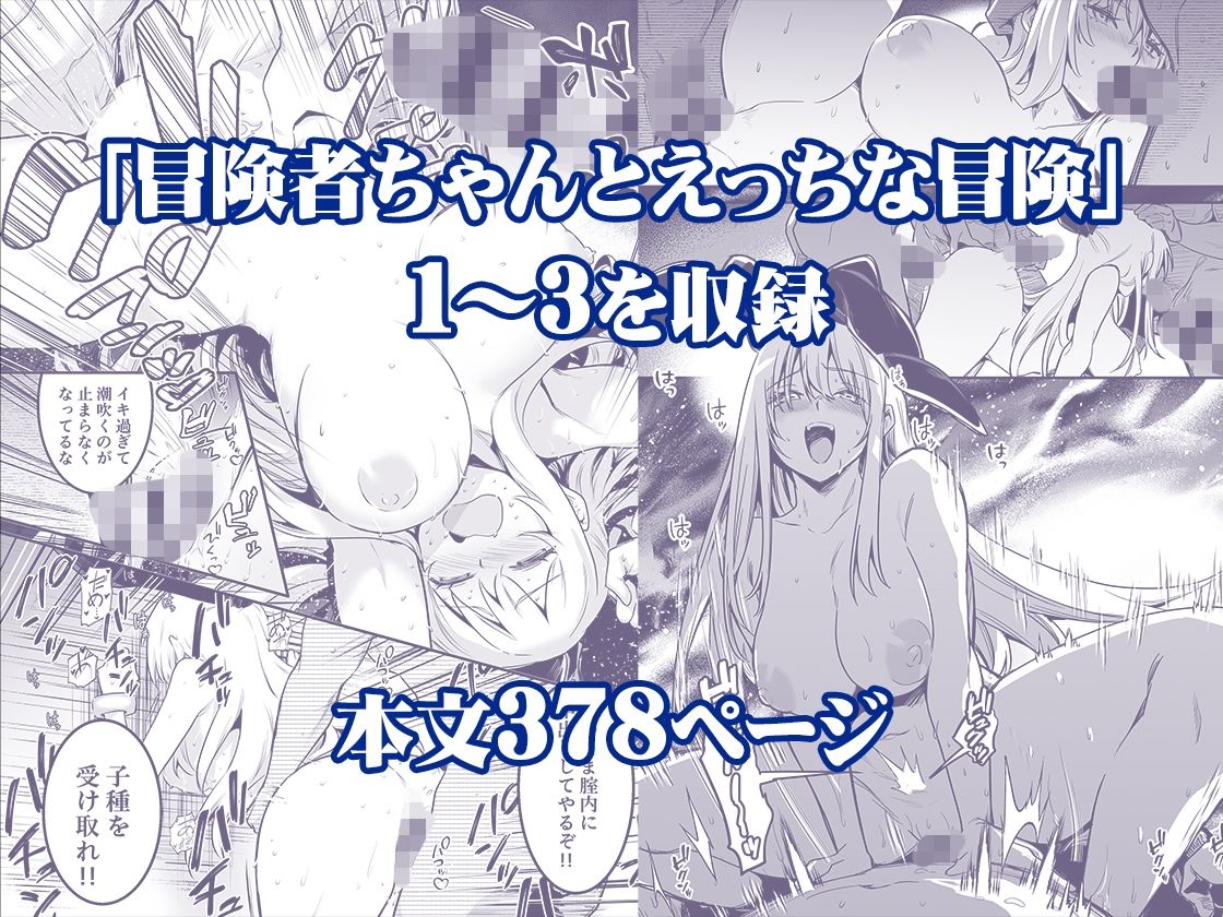 冒険者ちゃんとえっちな冒険 総集編 サンプル画像