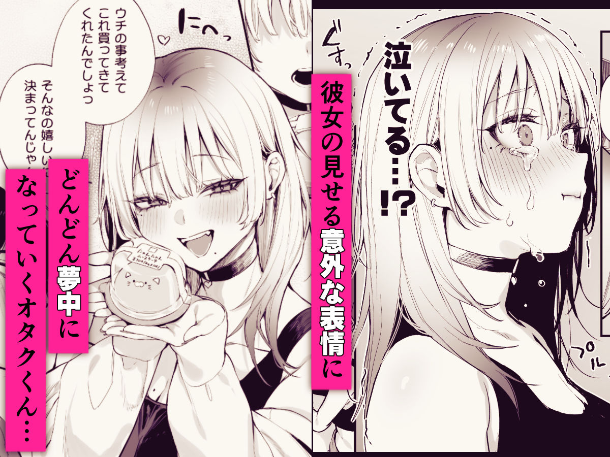 一晩泊めてよ、オタクくん サンプル画像