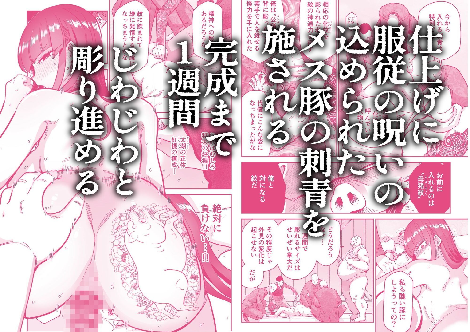 雌豚紋紋 サンプル画像