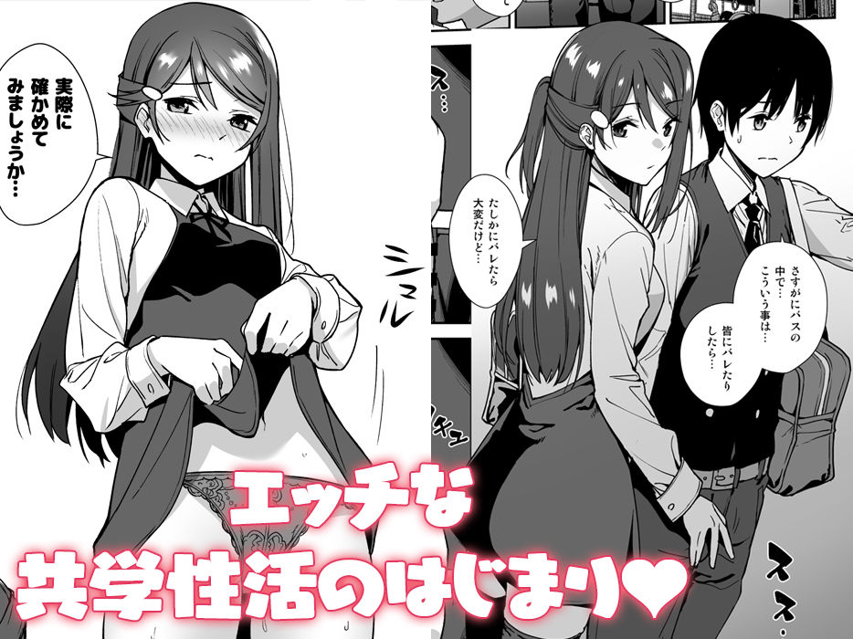 今日から始まる共学性活 総集編 サンプル画像