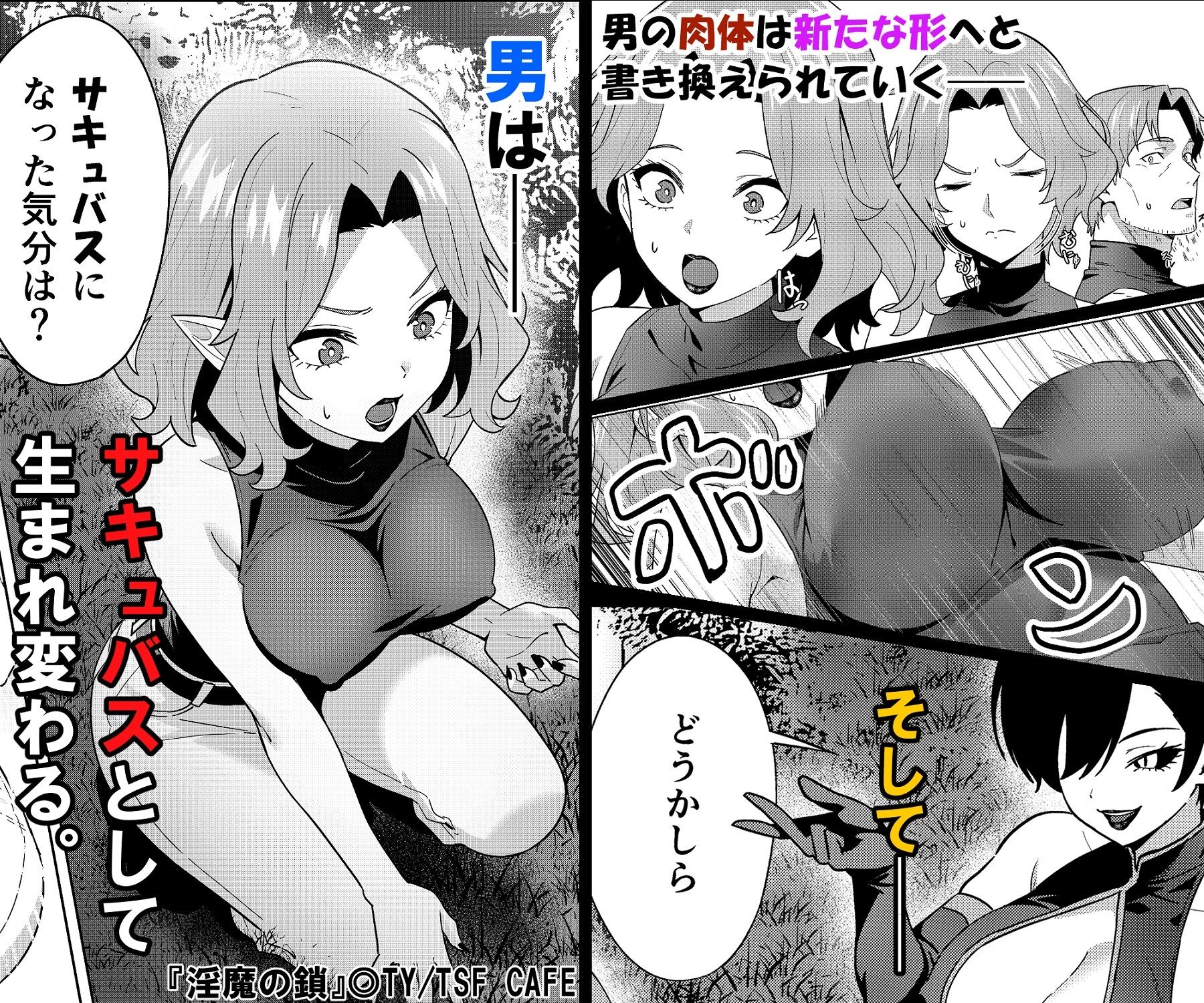 淫魔の鎖 サンプル画像