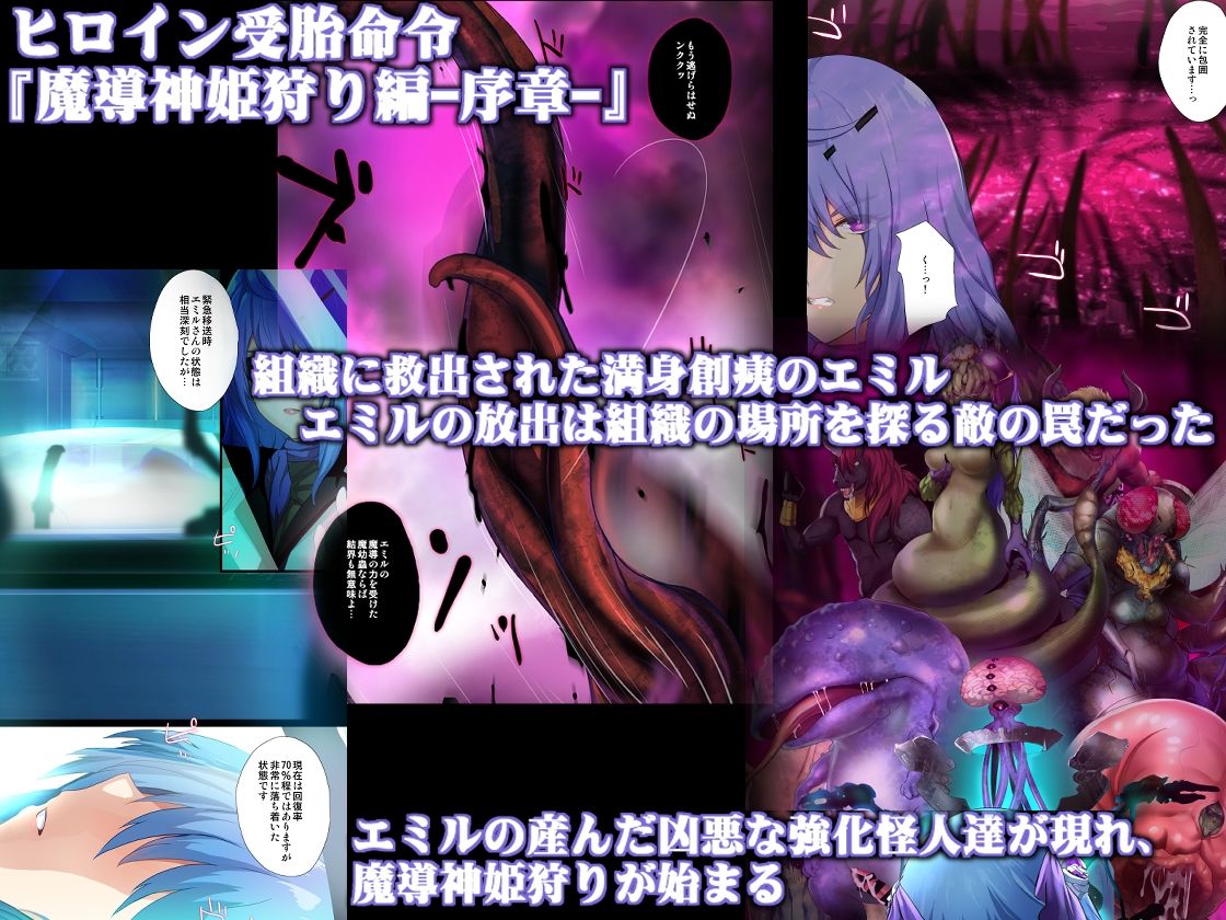 ヒロイン受胎命令 サンプル画像