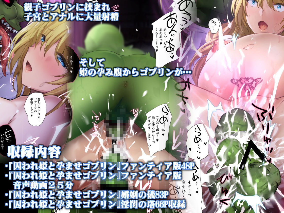 囚われ姫と孕ませゴブリン サンプル画像