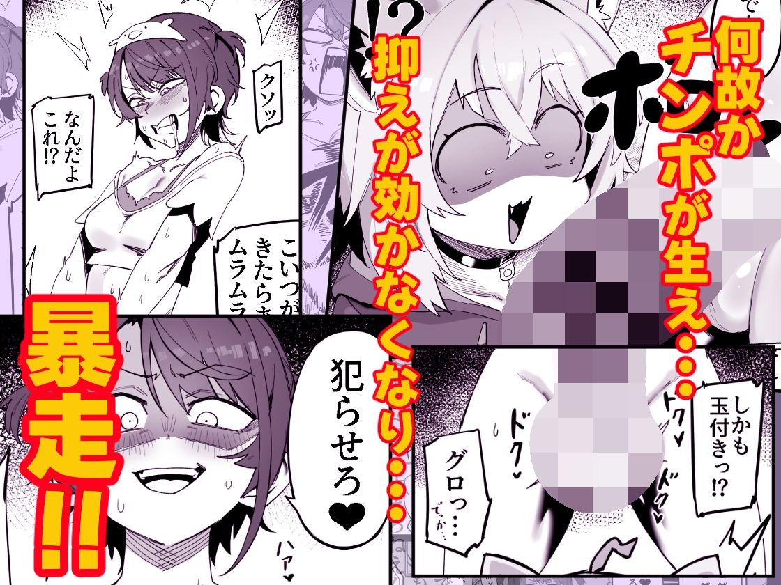 SOFS サンプル画像