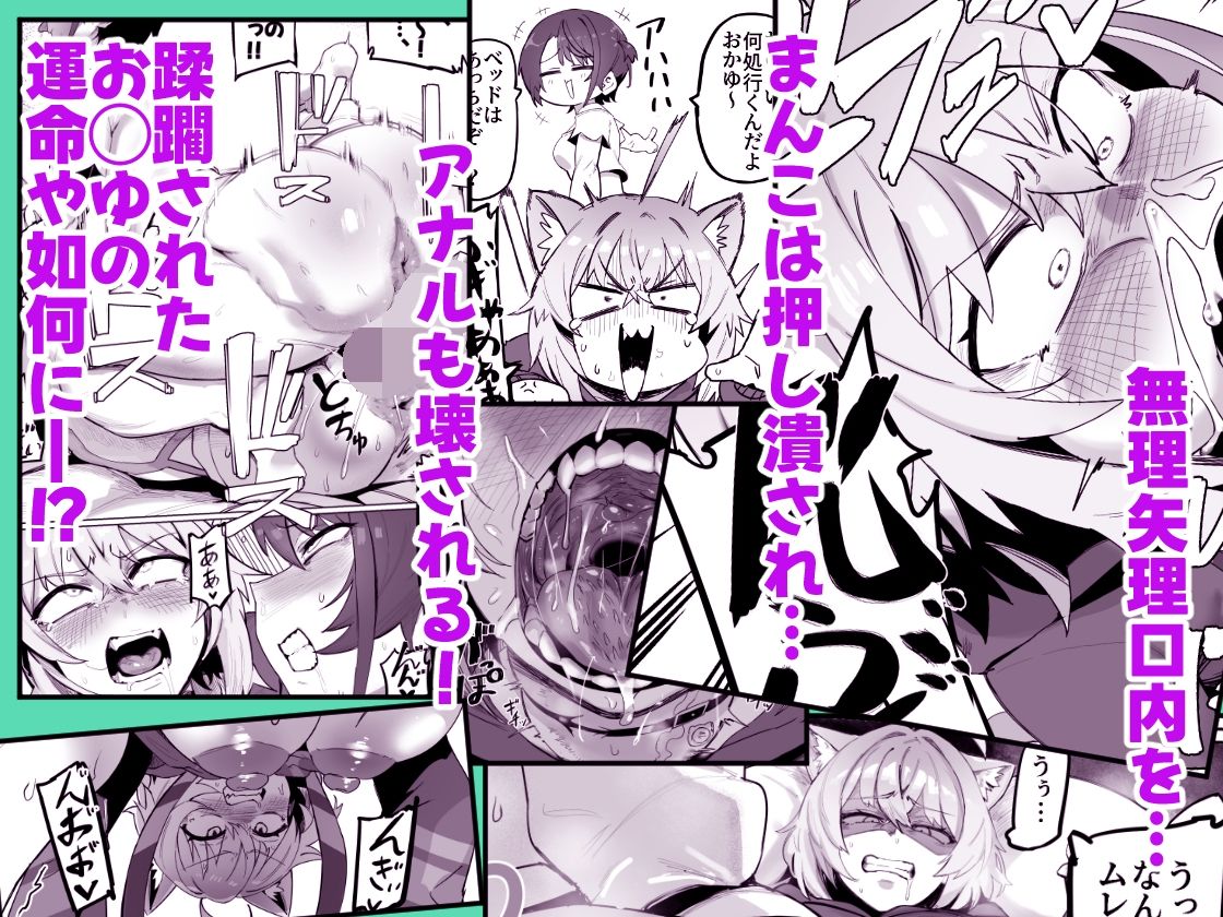 SOFS サンプル画像