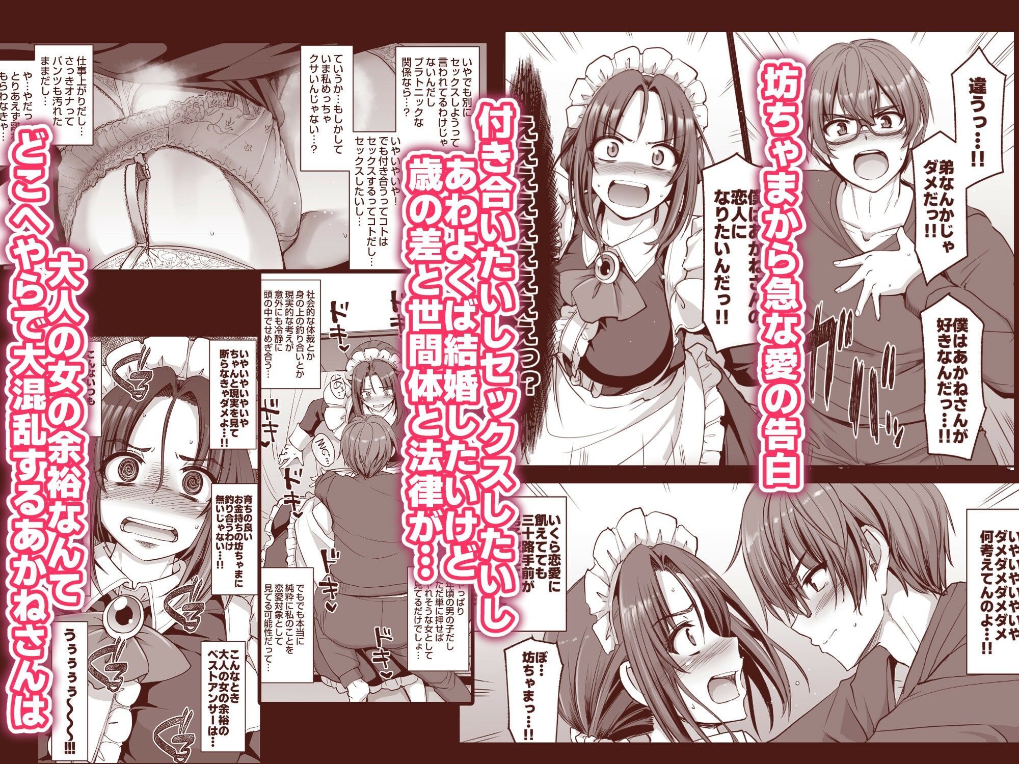 ポンコツ独身メイドあかねさん(28) サンプル画像