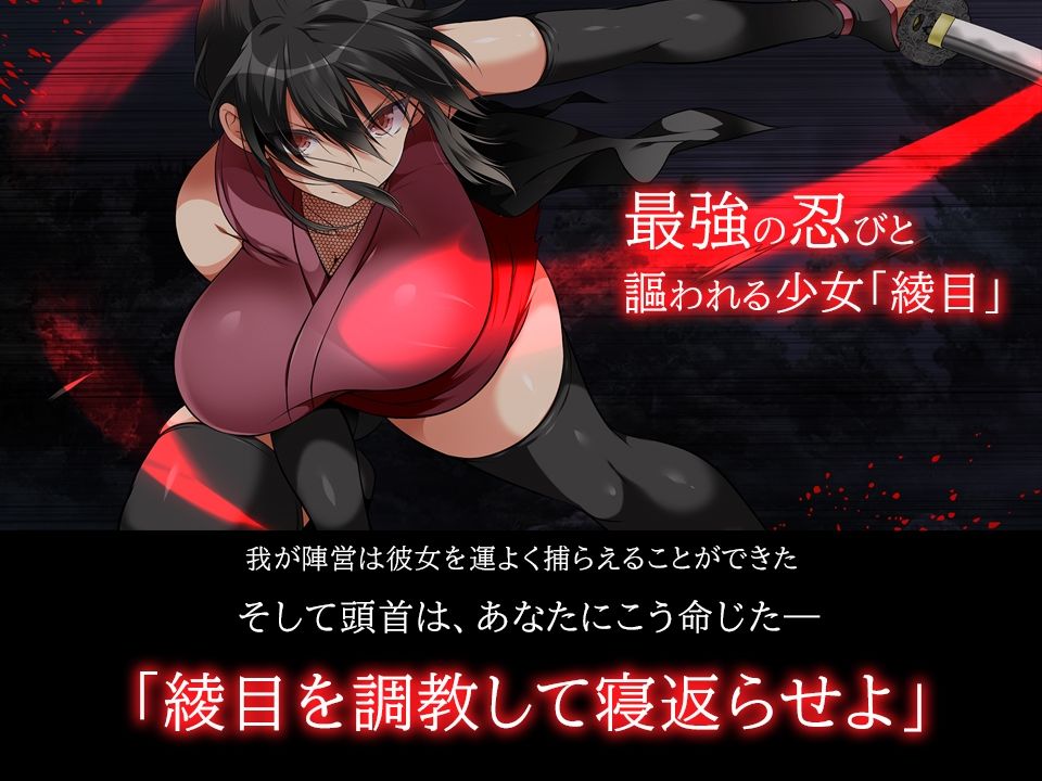 忍堕とし【動画＆コミックCG集版】 サンプル画像