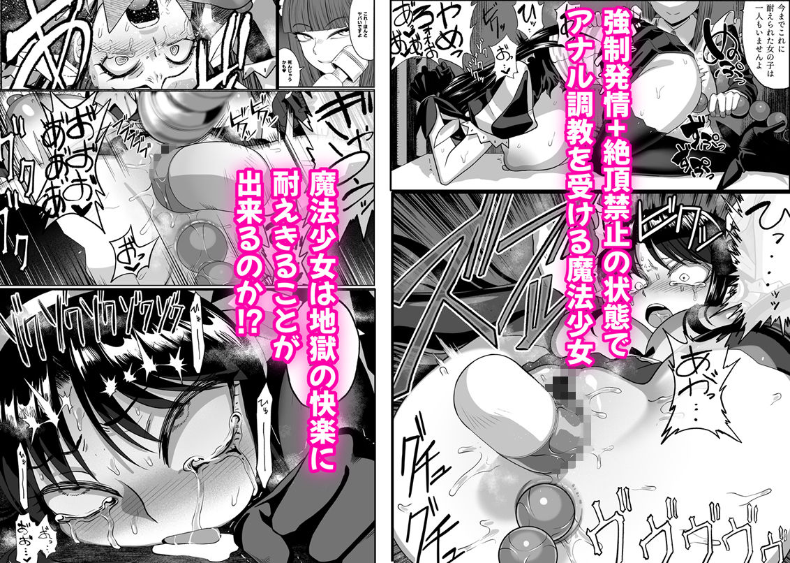 支配する言葉4 魔法少女強●発情 サンプル画像