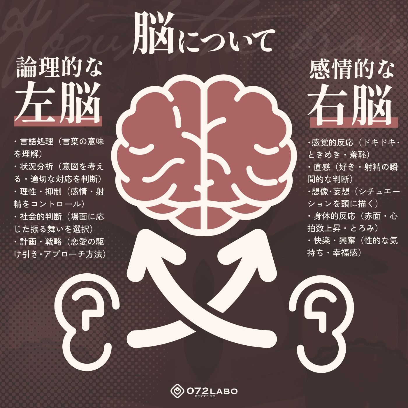 【脳バグ】射精管理官の本音レビュー｜低音お姉さん耳責め5大魅力 サンプル画像