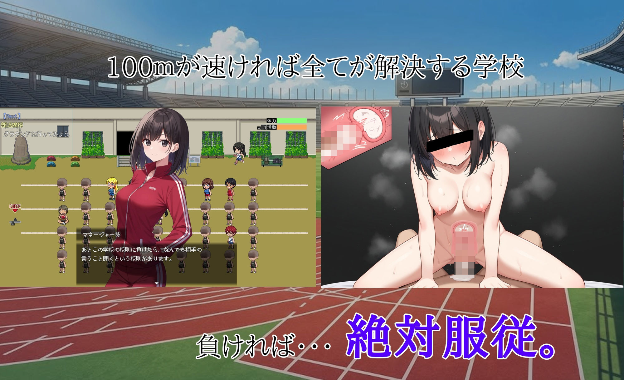 【2026年】最下位は童貞、1位はハーレムの魅力を徹底レビュー